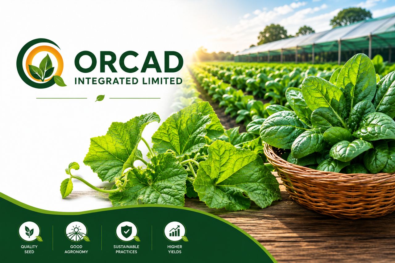 Vegetable Farming